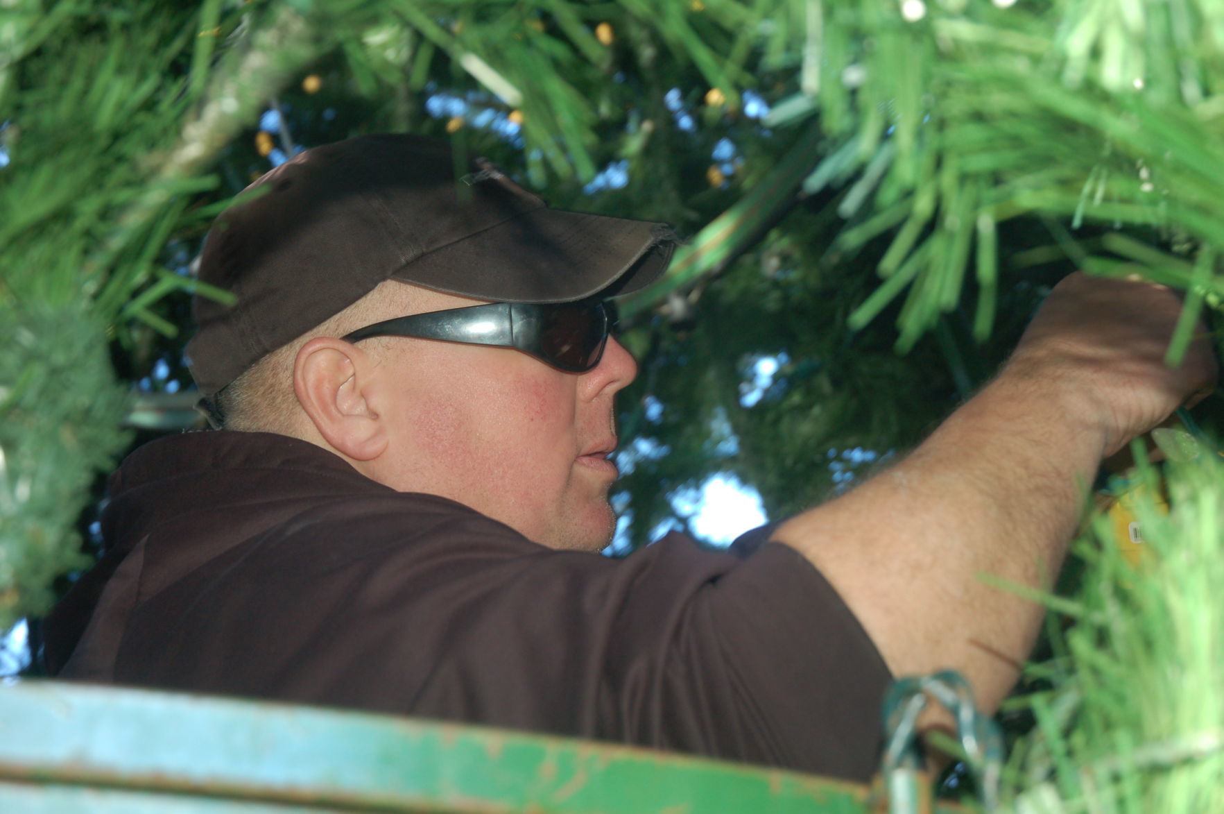Inside the Abbey Resort tree - 12